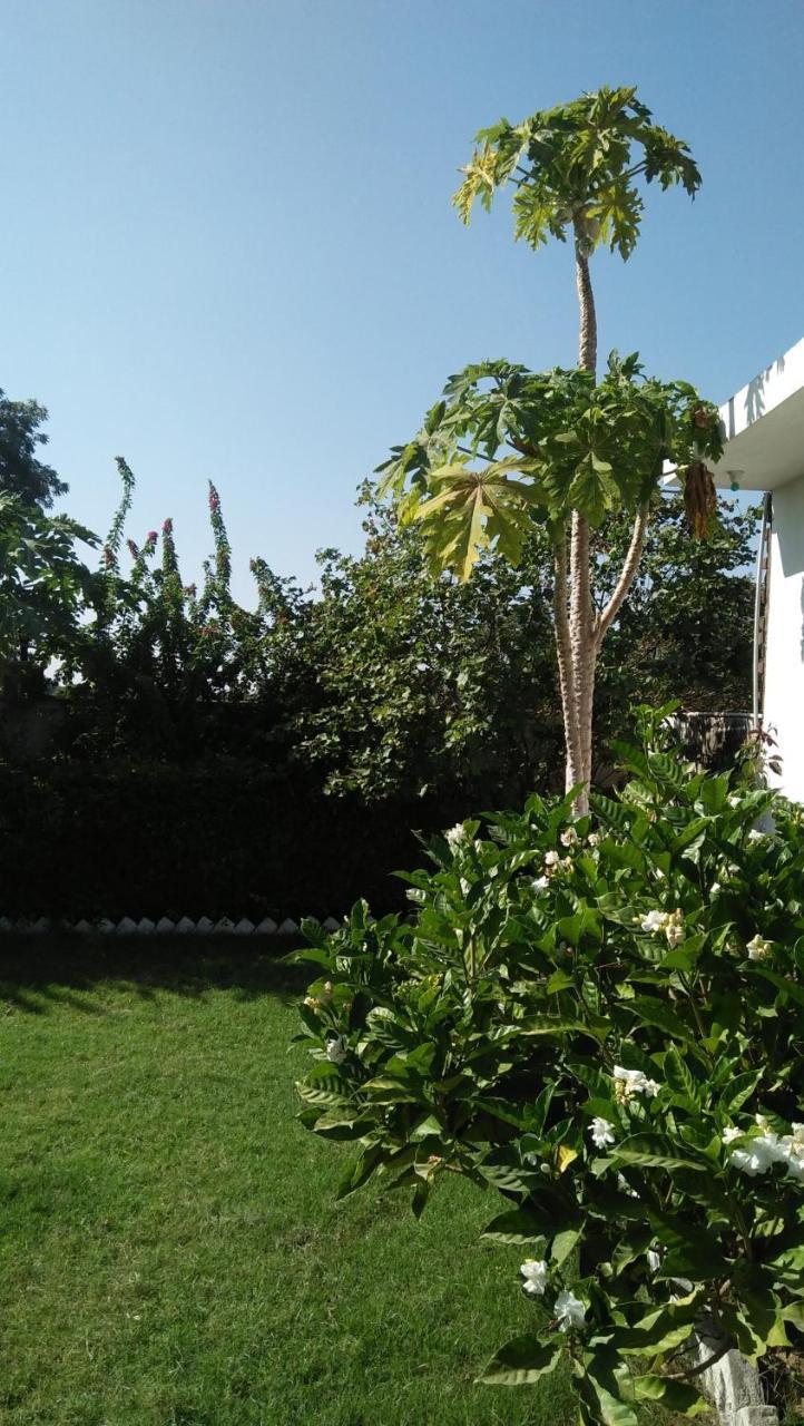 Prem Home Stay Khajurāho Extérieur photo